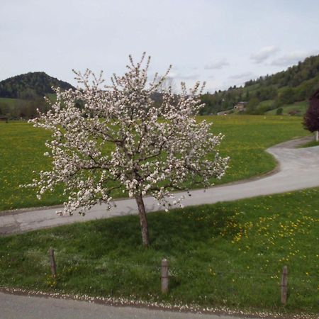 Ferienwohnung Annele Hittisau Buitenkant foto