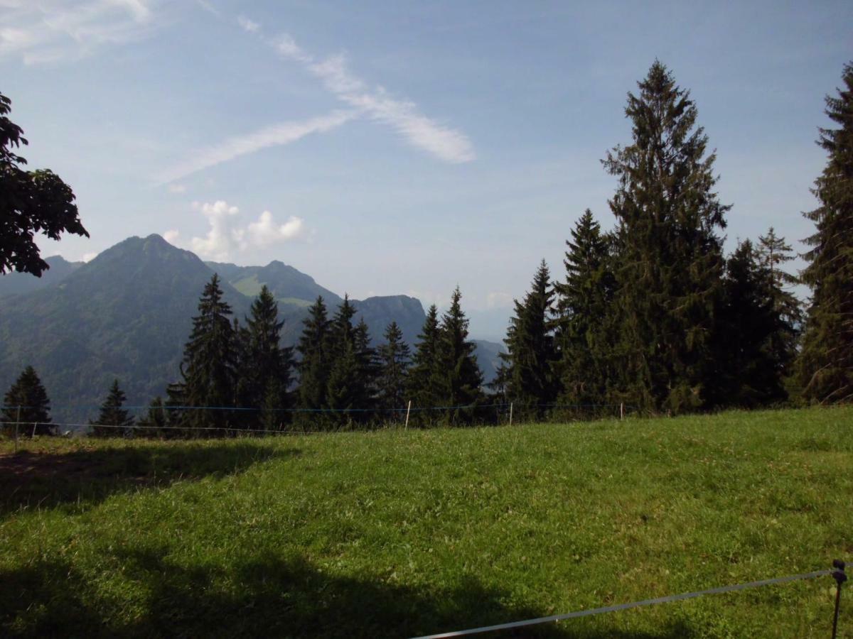 Ferienwohnung Annele Hittisau Buitenkant foto